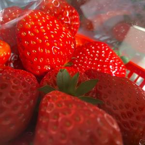 躺平喝奶茶🧋头像