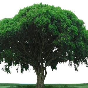 用户332440967：~3936夜色的头像