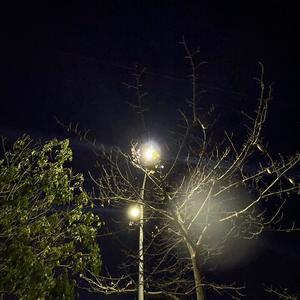 普宁探房-向阳头像