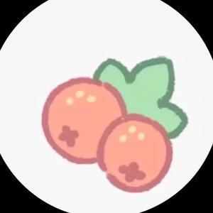 两颗蔓越莓（接单版）头像