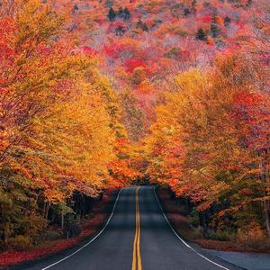 我的小心脏头像