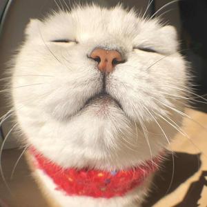 华斯伦厨电卫浴折扣仓头像