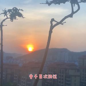 小猪佩奇💯头像