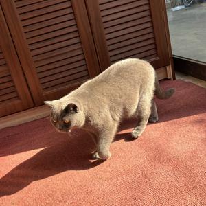 敢敢的打工日记头像