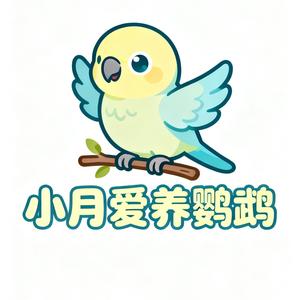 小月爱养鹦鹉头像