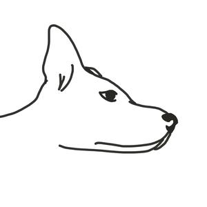 一介野人头像
