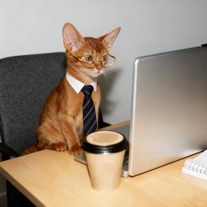 金条才是公司真老板头像