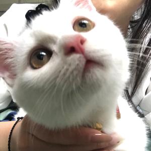 旺仔小馒头头像