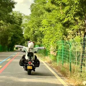 梓诺的小生活🐰头像