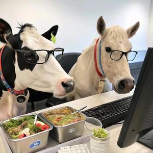 🏠好好住-慢慢富✨头像