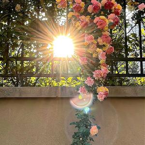 麻薯的化妆日记头像