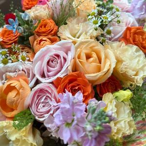 👑女王来了👑头像