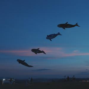 时间相机📷头像