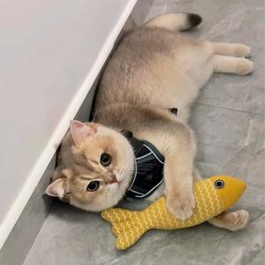 是奶酪弟弟呀头像