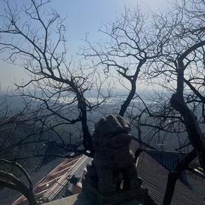 繁林（电商云分账）头像