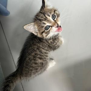 侯维C是小鼻嘎😽头像