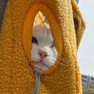 爱吃鸡蛋灌饼头像