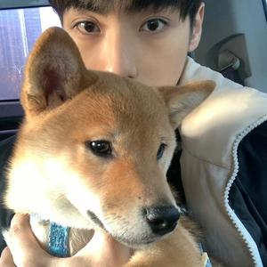 不爱吃榴莲头像