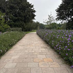 果果爸爸1129头像