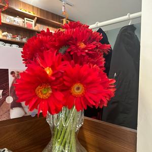 单眼皮变双眼皮头像