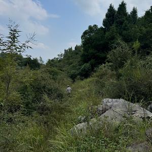 镇上farm渟渟头像