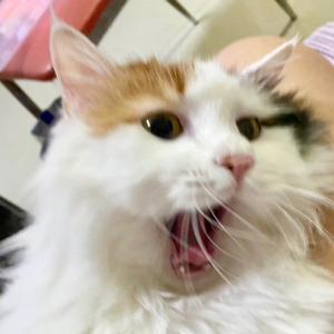 可她处处测评头像