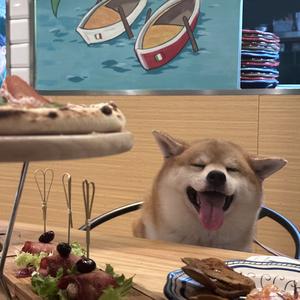 樱桃小犊子头像