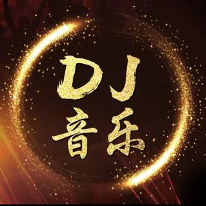 全球硬曲《车载DJ》头像