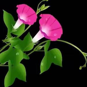 开心快乐🌸头像