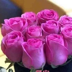 安逸健康快乐头像