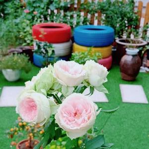 太阳姐姐（8）头像