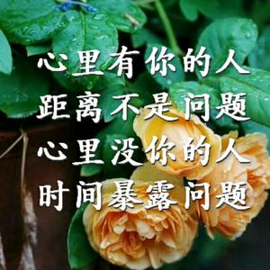无怨无悔头像
