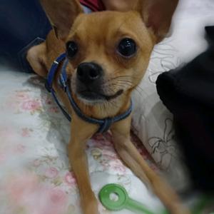 「 安暮 」头像