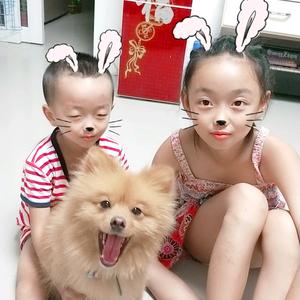 智慧好物分享头像