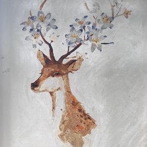 楷弟讲养生头像