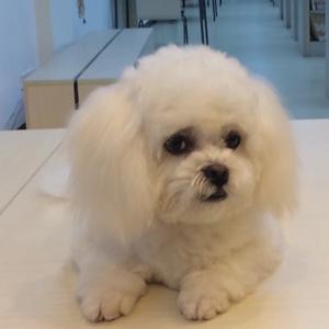 用户3968624643651头像