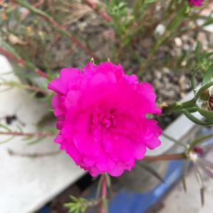 🌈🌈a๓₯转身遇到爱 ₯㎕头像