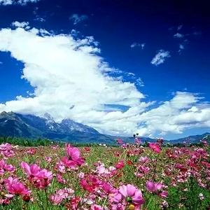 夜空中最亮的星⭐⭐头像