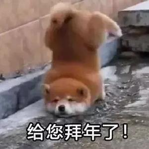 麻雀吃蟋蟀头像