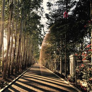 嘉车美汽车用品旗舰店头像