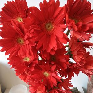 曼，曼( ﹡ˆoˆ﹡ )头像