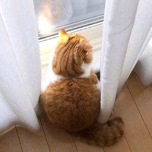 ♡̶乐̶柚̶头像