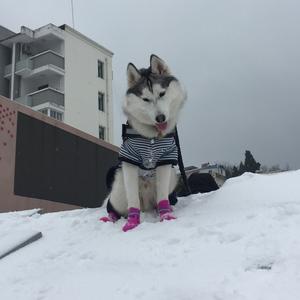 豆小宠🇻🇳（不要连赞）头像