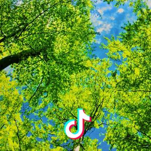 玥来越精彩头像