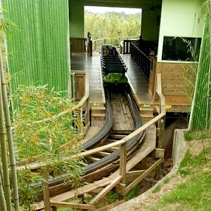 用户4922624141639头像