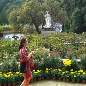 龍行⭐️小咪渣头像