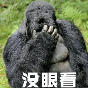 今夜柒刺郎头像