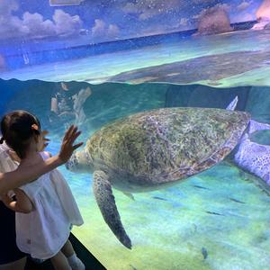 漳州竹木纤维木饰面碳晶板竹晶板蜂窝板厂家头像