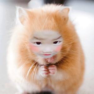 玛丽莲燕燕头像