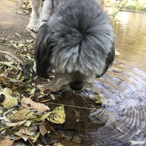 兜兜yi兜兜头像